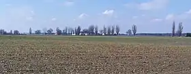 Kręgi Nowe