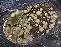 Kutnohorite Cantal France (Vue;10,2&nbsp;cm)