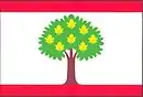 Drapeau de Kutrovice