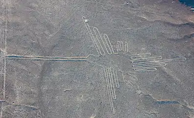 Le colibri (50&nbsp;m de long).