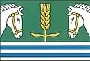Drapeau de Líté