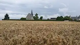 Conie-Molitard