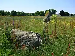 Image illustrative de l’article Alignement de menhirs de Bringuerault