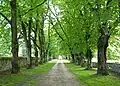 L'allée qui mène au château