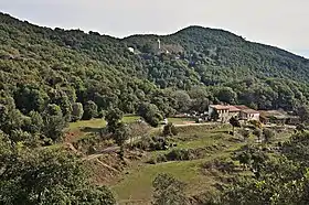 Hortsavinya