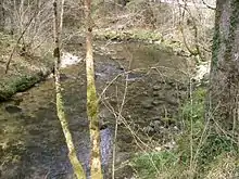 La Balerne près de l'ancienne abbaye.