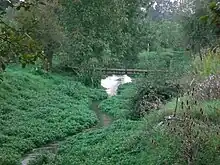 La Luce à Domart