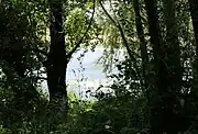 La Loire à La Motte-Saint-Jean.