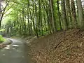Bois de Raumont au sud de Laneuveville-derrière-Foug.