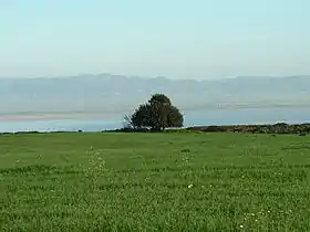 Image illustrative de l’article Sebkha d'Oran