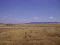 Paysage de La Serena&nbsp;(es).