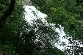 La pente la plus raide de la Sorgue avec 1,53&nbsp;mètre d'eau. L'exsurgence au pied de la falaise est visible en haut de la photo.