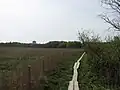 Le sentier de Laajalahti mène à la tour des oiseaux d'Otaniemi.