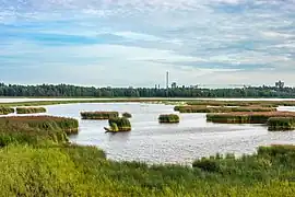 Baie de Laajalahti.