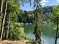 Les abords boisés du lac de Bonlieu.
