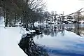 Hiver