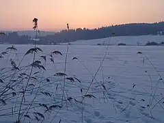 Coucher de soleil sur le lac gelé recouvert de neige.