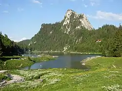 Image illustrative de l’article Lac de Taney