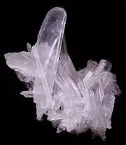 Macle de la Gardette ou du Japon - Vizille Isère France