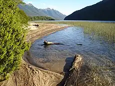 Plage sur le lac Correntoso.