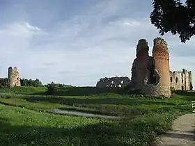 Image illustrative de l’article Château de Laiuse