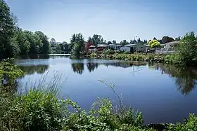 Johnson City (Oregon)