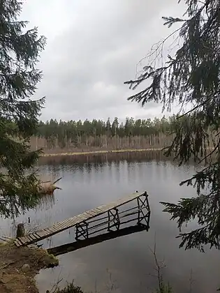 Dans le Нарачанскі (нацыянальны парк)&nbsp;(be) du voblast de Minsk. Mai 2022.
