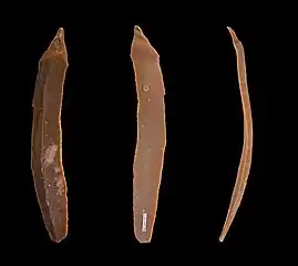 Lame à retouches continues sur deux bords.