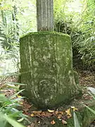 Socle