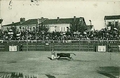 Place Saint-Roch un jour de course landaise.