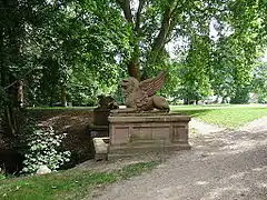 Griffon