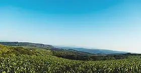 Hazyview