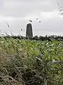 Menhir de Saint-Gonvac'h.