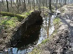 Changer la vitesse de l'eau ou sa hauteur a un impact sur les sol et les racines.