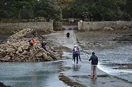 Gois à marée descendante entre l'île de Berder et le bourg de Larmor-Baden.