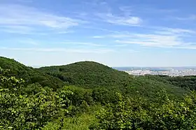 Le Leopoldsberg au-dessus de Vienne.