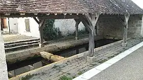 Échilleuses