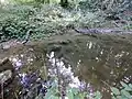 Le Buron à Penthéréaz où il forme des abris pour les truites.