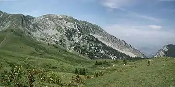Alpages et, en arrière-plan, une crête qui s'abaisse vers la plaine.