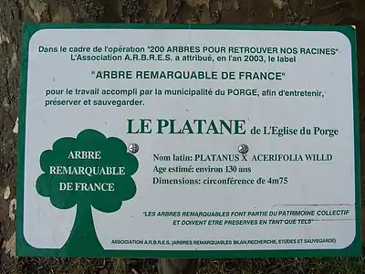 Le panneau du label d'arbre remarquable du platane (mars&nbsp;2009)