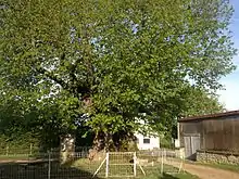 Le Sully de Pesselières en 2014.