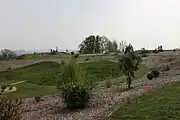 }}}