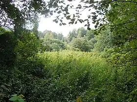 Image illustrative de l’article Zone humide de Corbelin