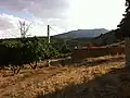 Lefhahma (Ouled Tebben, wilaya de Sétif)