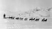 Équipage de chiens de traineau en 1916, victorieuse à la 9e course de chiens de traineau