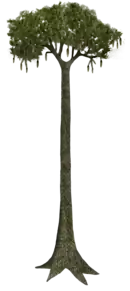 Reconstitution par le paléoartiste Tim Bertelink avec le motif de la tige arborescente.