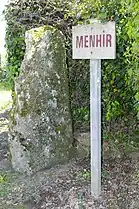 Le menhir.