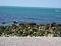 Vue sur la plage.