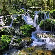 La cascade de la source de la Petite Cuisance.