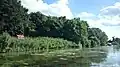 Les bords de l'île Nancy